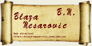 Blaža Mesarović vizit kartica